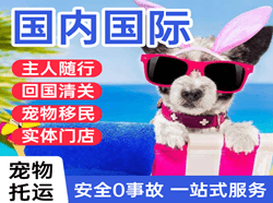 兴义万峰林空运代理国际宠物托运 【国